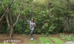 文春爆料菜园视频大全最新,文春爆料，揭秘最新热门菜园视频精彩瞬间